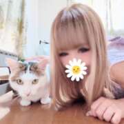 ヒメ日記 2025/07/02 11:19 投稿 あいる 千葉人妻花壇