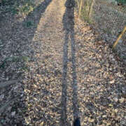 ヒメ日記 2025/02/07 20:26 投稿 まゆこ 奥鉄オクテツ神奈川店（デリヘル市場グループ）