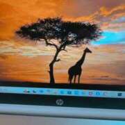 ヒメ日記 2025/02/12 20:14 投稿 まゆこ 奥鉄オクテツ神奈川店（デリヘル市場グループ）