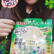 ヒメ日記 2025/06/04 12:22 投稿 せいら sakura