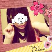 ヒメ日記 2025/10/18 10:02 投稿 せいら sakura