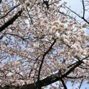 ヒメ日記 2025/03/30 10:49 投稿 伊藤ななせ 全裸美女からのカゲキな誘惑