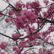 ヒメ日記 2026/03/15 10:20 投稿 伊藤ななせ 全裸美女からのカゲキな誘惑