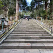 ヒメ日記 2025/01/24 10:44 投稿 まゆこ 奥鉄オクテツ東京店（デリヘル市場）