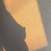 ヒメ日記 2025/10/21 11:47 投稿 まゆこ 奥鉄オクテツ東京店（デリヘル市場）