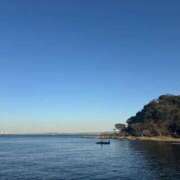 ヒメ日記 2026/02/20 11:38 投稿 まゆこ 奥鉄オクテツ東京店（デリヘル市場）