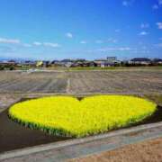 ヒメ日記 2024/10/24 14:47 投稿 さな 完熟ばなな千葉店