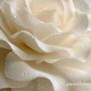 さな 連休の出勤❣️ 完熟ばなな千葉店