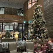 ヒメ日記 2024/12/14 15:37 投稿 あやか 岐阜岐南各務原ちゃんこ