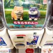 ヒメ日記 2025/03/24 22:10 投稿 ふうか SOAPLAND LOVE FACTORY