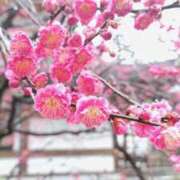 ヒメ日記 2025/03/07 09:05 投稿 えいみ 梅田人妻秘密倶楽部