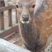 ヒメ日記 2025/09/16 09:30 投稿 えいみ 梅田人妻秘密倶楽部