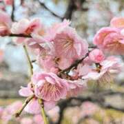 ヒメ日記 2026/02/12 20:30 投稿 えいみ 梅田人妻秘密倶楽部