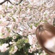 ヒメ日記 2026/03/22 16:35 投稿 えいみ 梅田人妻秘密倶楽部