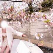 ヒメ日記 2026/04/01 06:25 投稿 えいみ 梅田人妻秘密倶楽部