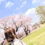 ヒメ日記 2026/04/02 09:10 投稿 えいみ 梅田人妻秘密倶楽部