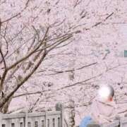 ヒメ日記 2026/04/03 21:50 投稿 えいみ 梅田人妻秘密倶楽部