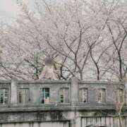 ヒメ日記 2026/04/05 23:05 投稿 えいみ 梅田人妻秘密倶楽部