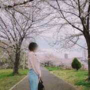 ヒメ日記 2026/04/08 21:50 投稿 えいみ 梅田人妻秘密倶楽部