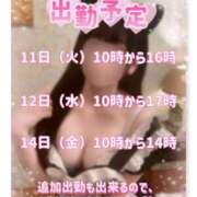 ヒメ日記 2025/02/08 15:01 投稿 今森　はづき 癒し娘診療所 水戸・ひたちなか店