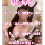 ヒメ日記 2025/04/11 11:30 投稿 今森　はづき 癒し娘診療所 水戸・ひたちなか店