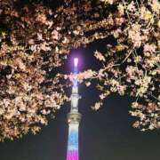 ヒメ日記 2025/03/25 21:02 投稿 つぼみ 熟女の風俗最終章 池袋店