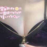 ヒメ日記 2025/04/02 17:18 投稿 ありす 素敵な女の子は好きですか？