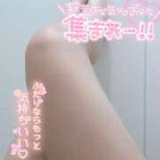 ヒメ日記 2025/05/18 11:03 投稿 ありす 素敵な女の子は好きですか？