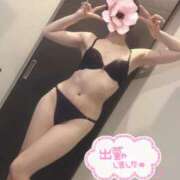 ヒメ日記 2025/08/21 13:06 投稿 ありす 素敵な女の子は好きですか？