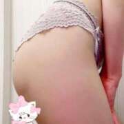 ヒメ日記 2025/01/24 00:26 投稿 なつ デザインプリズム新宿