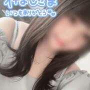 ヒメ日記 2025/04/17 09:51 投稿 ミオ 石川小松ちゃんこ