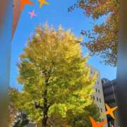 ヒメ日記 2024/12/15 21:12 投稿 つぐみ sakura