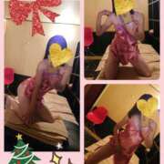 ヒメ日記 2024/12/24 10:03 投稿 つぐみ sakura