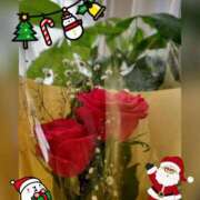 ヒメ日記 2024/12/24 13:32 投稿 つぐみ sakura