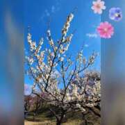 ヒメ日記 2025/01/08 08:42 投稿 つぐみ sakura