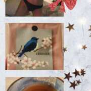 ヒメ日記 2025/03/13 22:22 投稿 つぐみ sakura