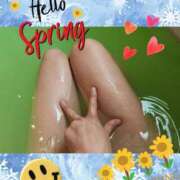 ヒメ日記 2025/03/25 11:22 投稿 つぐみ sakura