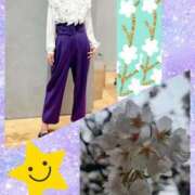 ヒメ日記 2025/04/01 16:52 投稿 つぐみ sakura