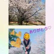 ヒメ日記 2025/04/09 19:03 投稿 つぐみ sakura