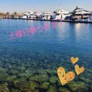 ヒメ日記 2025/04/11 21:22 投稿 つぐみ sakura