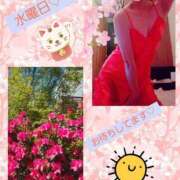 ヒメ日記 2025/04/16 10:03 投稿 つぐみ sakura