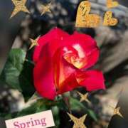 ヒメ日記 2025/05/01 18:02 投稿 つぐみ sakura