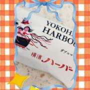 ヒメ日記 2025/08/07 09:22 投稿 つぐみ sakura