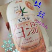 ヒメ日記 2025/11/20 14:52 投稿 つぐみ sakura