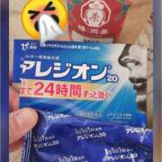 つぐみ 花粉症炸裂((泣😢 sakura