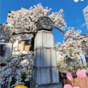 つぐみ 明日！！😊 sakura