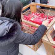 ヒメ日記 2025/02/21 13:15 投稿 雪美【ゆきみ】 輝女