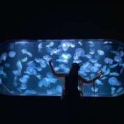 ヒメ日記 2025/02/28 14:01 投稿 雪美【ゆきみ】 輝女