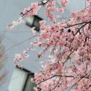 ヒメ日記 2025/03/29 21:32 投稿 雪美【ゆきみ】 輝女