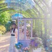 ヒメ日記 2025/06/21 07:21 投稿 雪美【ゆきみ】 輝女